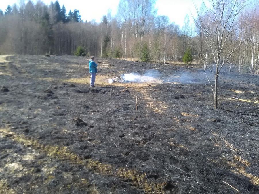 3. aprillil kella 13.01 ajal süttis hooletust lõkkepõletamisest Võru vallas Paloveere külas poolteist hektarit kulu ja põlengualale jäänud vana kõrvalhoone jäänused. Päästjad kustutasid tulekahju kustutussüsteemiga ATV abil.